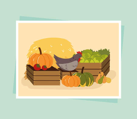 organic vegetables and chickenのイラスト素材