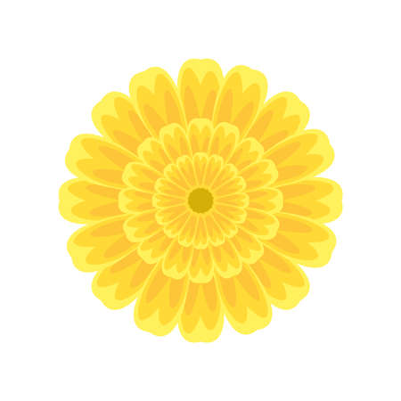 yellow flower natureのイラスト素材
