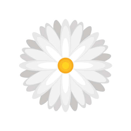 flower daisy natureのイラスト素材