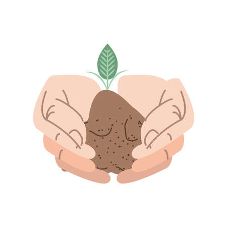 Illustration for hands with a sprout - Royalty Free Image