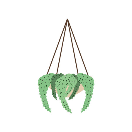 hanging houseplant decorationのイラスト素材