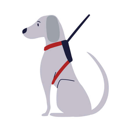 guide dog with vest isolated styleのイラスト素材