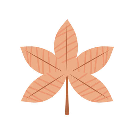 leaf autumn seasonのイラスト素材