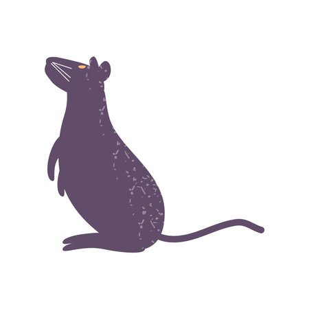 black rat animalのイラスト素材