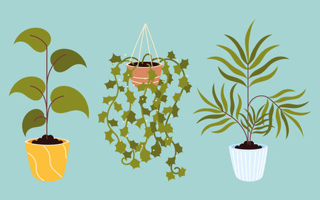 houseplant foliage decorationのイラスト素材