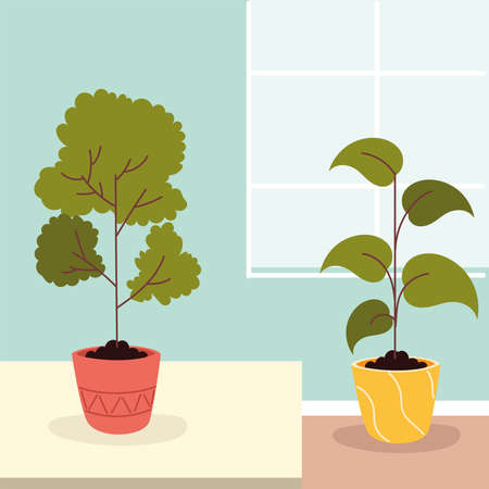 potted plant at homeのイラスト素材