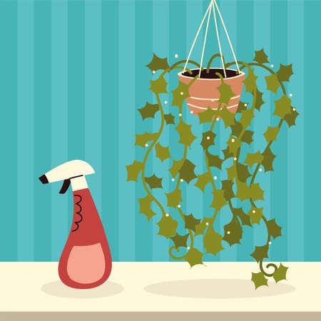 hanging houseplant and sprayのイラスト素材
