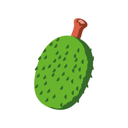 thailand fruit durian