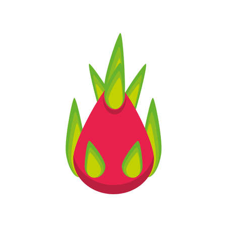 exotic dragon fruitのイラスト素材