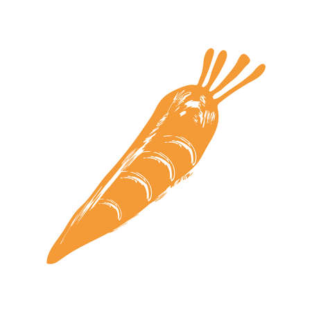carrot vegetable iconのイラスト素材