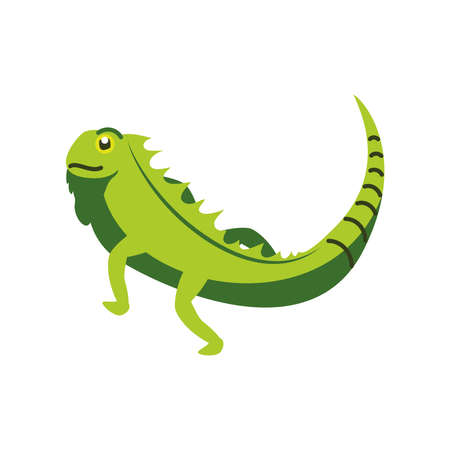 wild green iguanaのイラスト素材