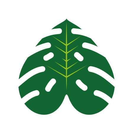 green monstera leafのイラスト素材