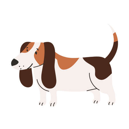 pet dog beagleのイラスト素材