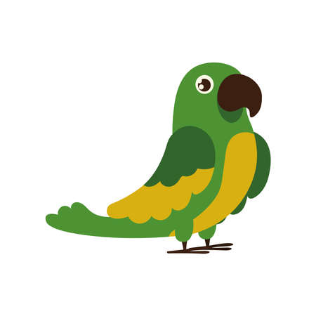 cute parrot birdのイラスト素材