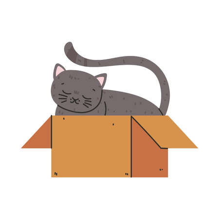 cat in the boxのイラスト素材