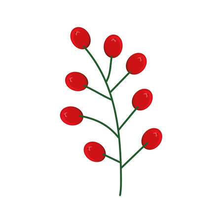 branch berries foliageのイラスト素材