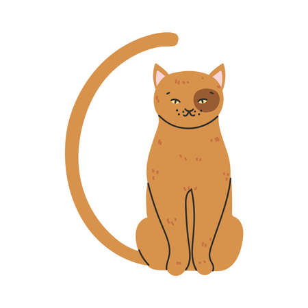 brown pet catのイラスト素材