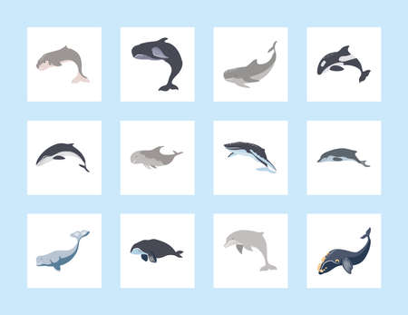 icons whales and dolphinのイラスト素材