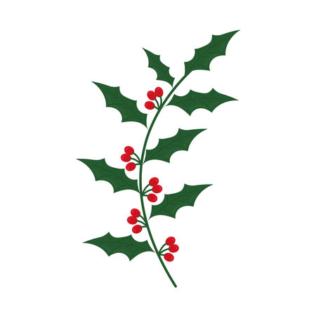 foliage leaves and berriesのイラスト素材