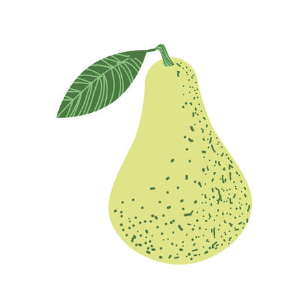 pear fresh iconのイラスト素材