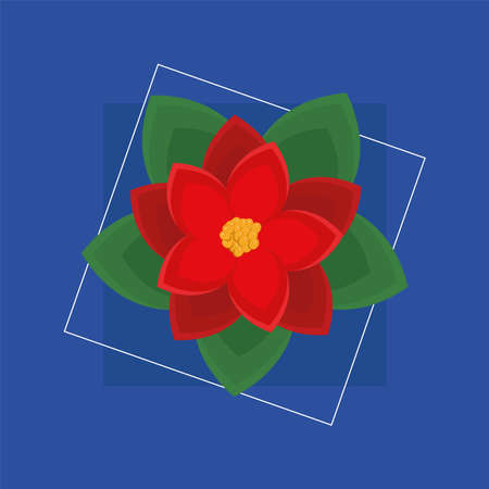 flower poinsettia decorationのイラスト素材