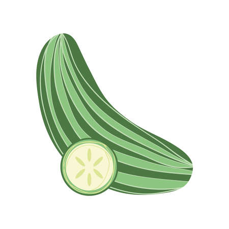 cucumber fresh iconのイラスト素材