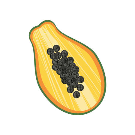 papaya fresh iconのイラスト素材
