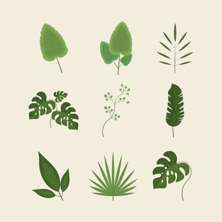 set icons leavesのイラスト素材