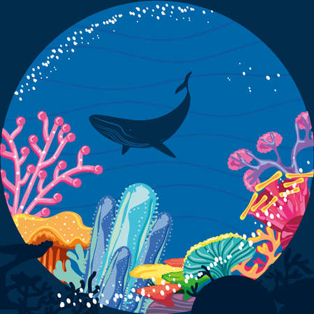 whale coral reefのイラスト素材
