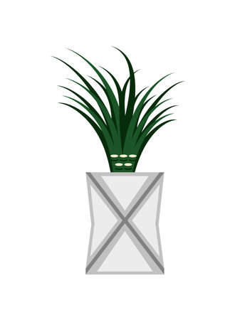plant leaves in white potのイラスト素材