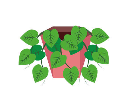 potted plant hanging leavesのイラスト素材