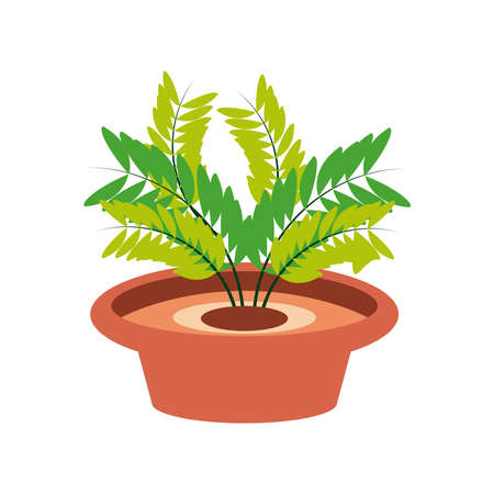 plant branches in potのイラスト素材
