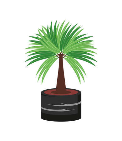 houseplant palm treeのイラスト素材