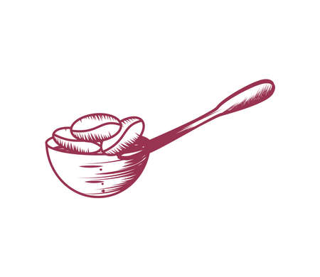 spoon with coffee seedsのイラスト素材