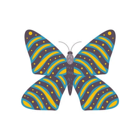 big butterfly animalのイラスト素材