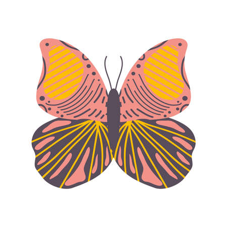 butterfly flat iconのイラスト素材
