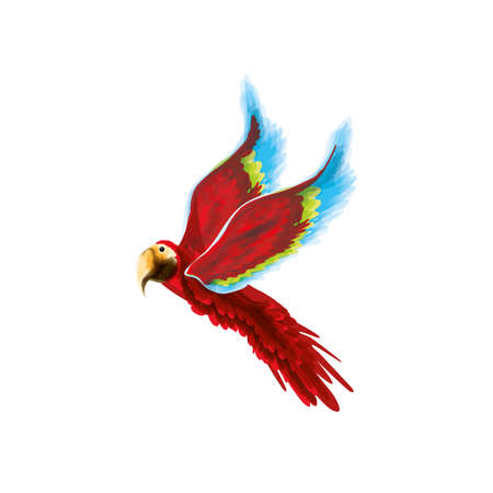 macaw bird watercolorのイラスト素材