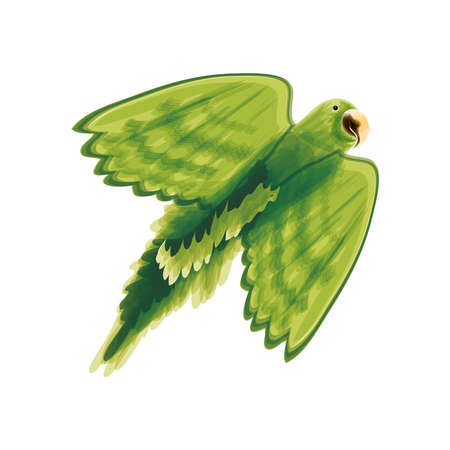 parrot bird watercolorのイラスト素材