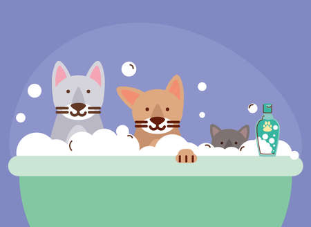 pets cats in bathtubのイラスト素材