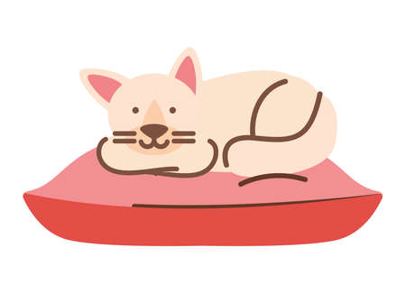 cat rest on cushionのイラスト素材
