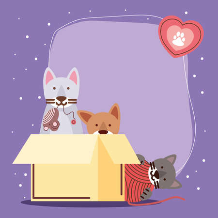 pets cute catsのイラスト素材