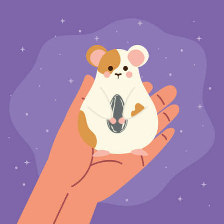 pet hamster with seedのイラスト素材