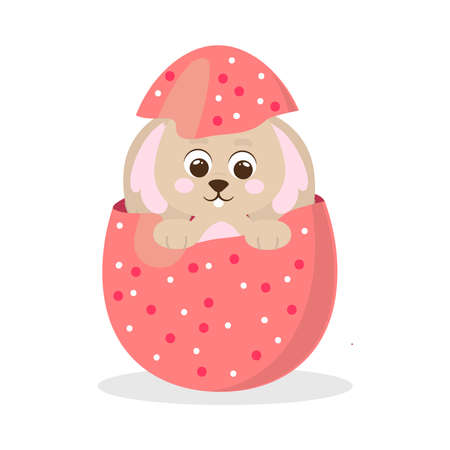 rabbit in easter eggのイラスト素材