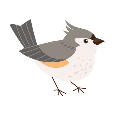 bird vector iconのイラスト素材