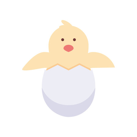 chicken in eggのイラスト素材