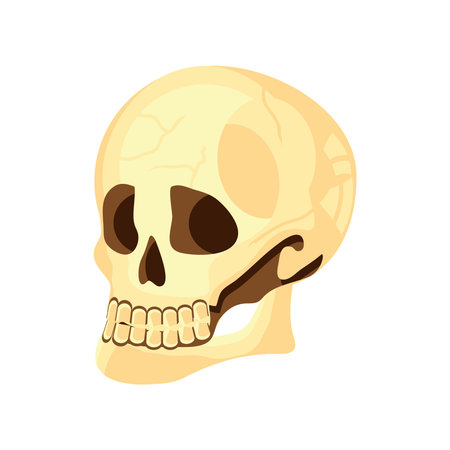 skull icon flatのイラスト素材