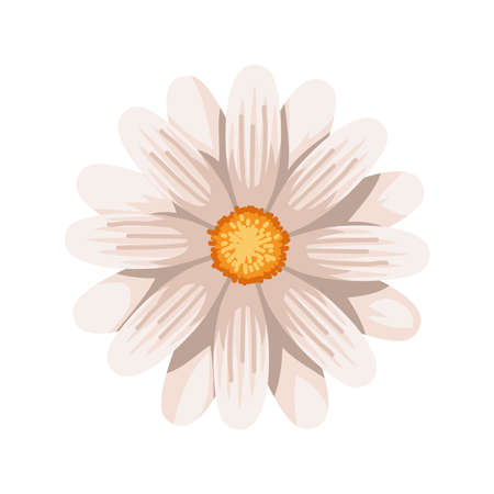 flower daisy natureのイラスト素材