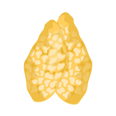 thymus gland organのイラスト素材