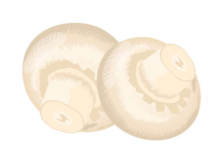 mushroom vegetable iconのイラスト素材