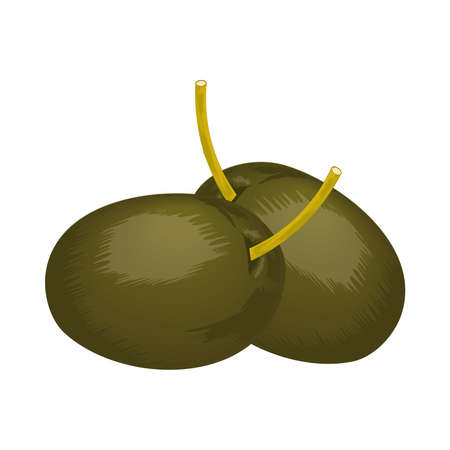 olives vegetable iconのイラスト素材